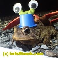 /home//u458753944/public_html/sourcegallery//////Roxborough Toad Detour/2013-2019/2018/2018-04-13/P4130031.JPG